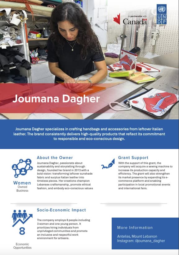 UNDP / UNIDO Women Entrepreneurship Grant